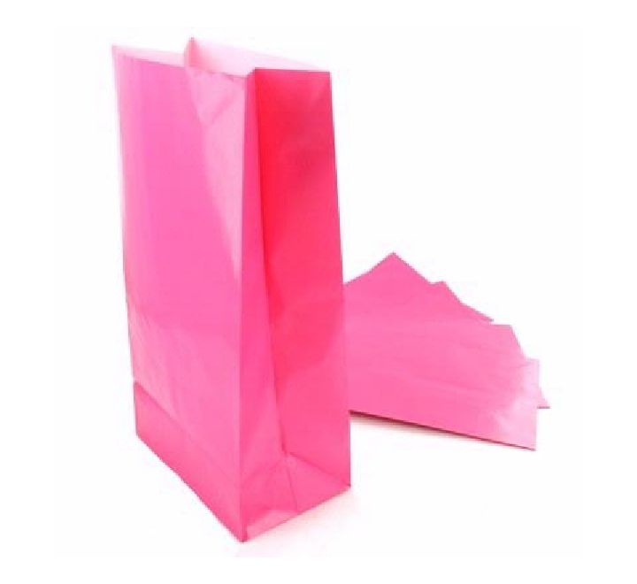 Hot Pink Paper Bags 12ct