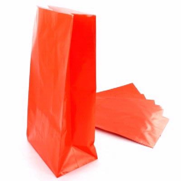 Orange Paper Bags 12ct