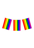 Pride Flag Nylon Bunting 7m