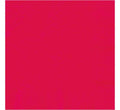 20ct Napkin Ruby Red