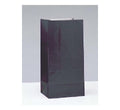 Midnight Black Paper Bags 12ct