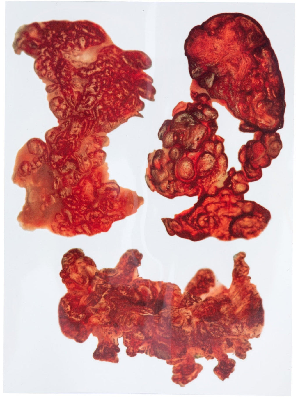 Burnt Skin Tattoo Transfer